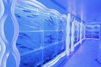 氷の水族館1