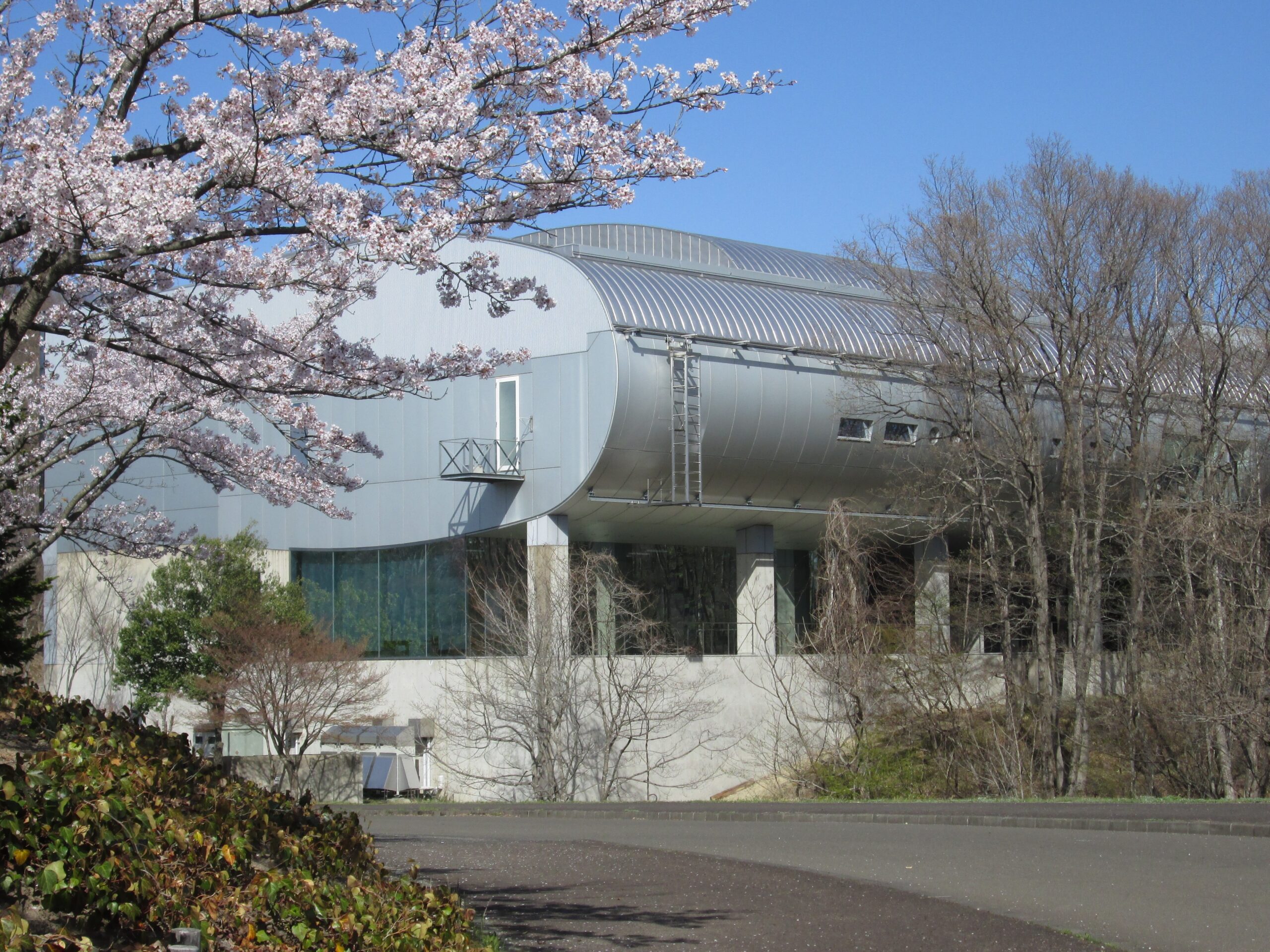 宮城県図書館外観（西側）春